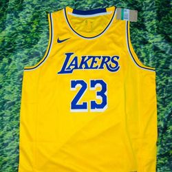 Lakers  Home James #23 Adult Size XL