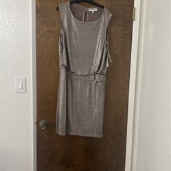 Evening Dress silver/taupe Size 14