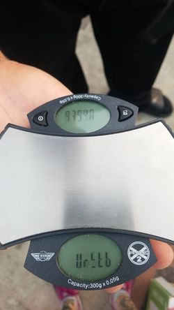 Digital scale