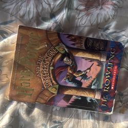 HP and the Sorcerers Stone book