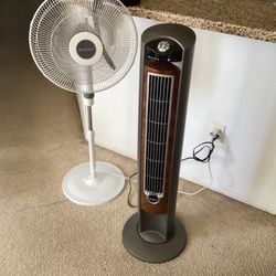 2 Fans Like Very Good Both For $35