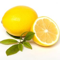 Citrus Trees Grafted 2.5 Ft Tall 