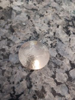 A Silver Dollar Gaucho