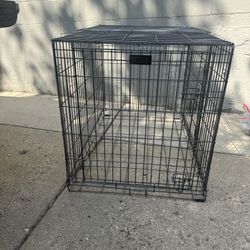 dog crate 