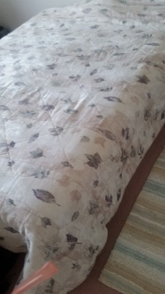 Comforter Size Queen