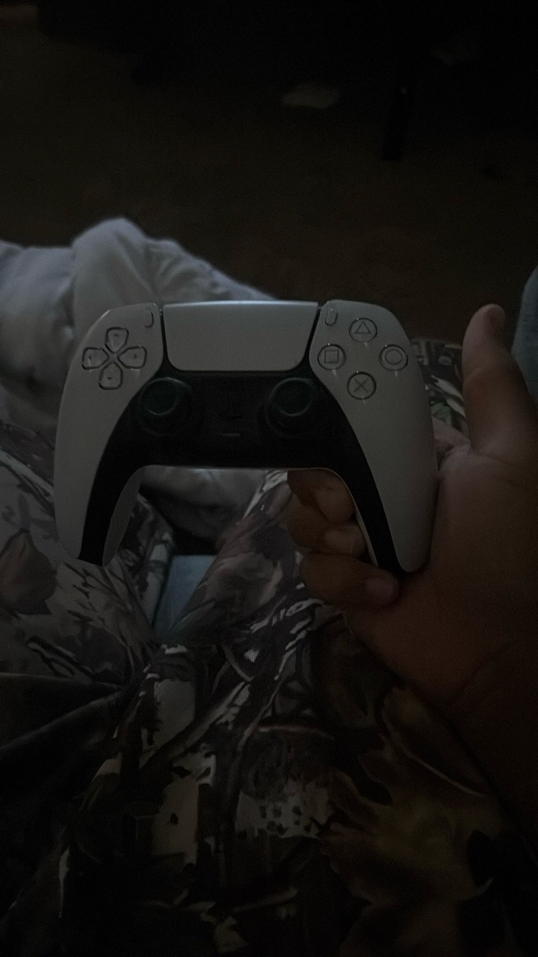 PS5 Controller