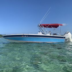 25 Ft  1989  Beach Craft Boat 