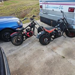 Mini Bikes Off Road