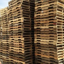 Pallets For Sale