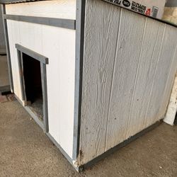 Dog House 