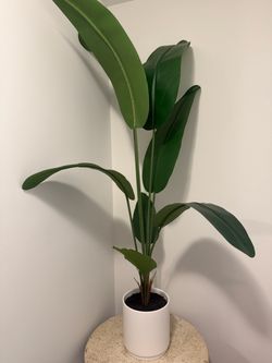 Indoor fake plant