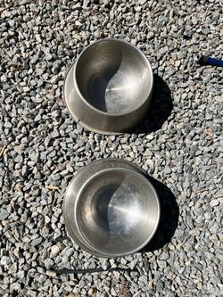 2 dog bowls