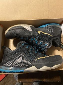 Lebron Nikes