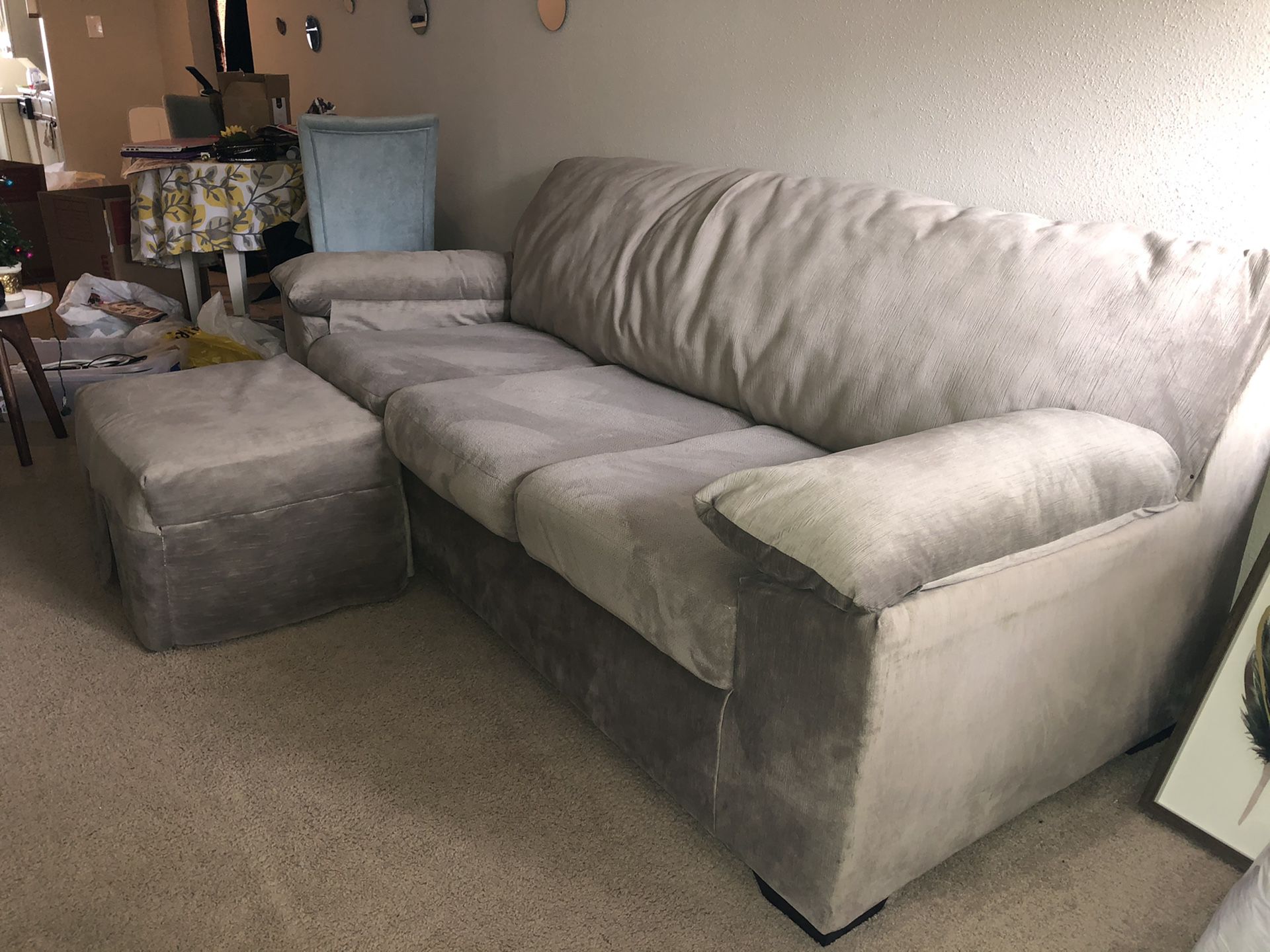 Light grey couch