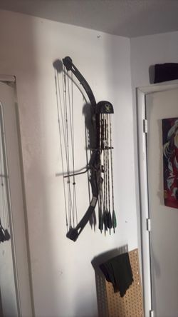 Compound Bow with Arrows