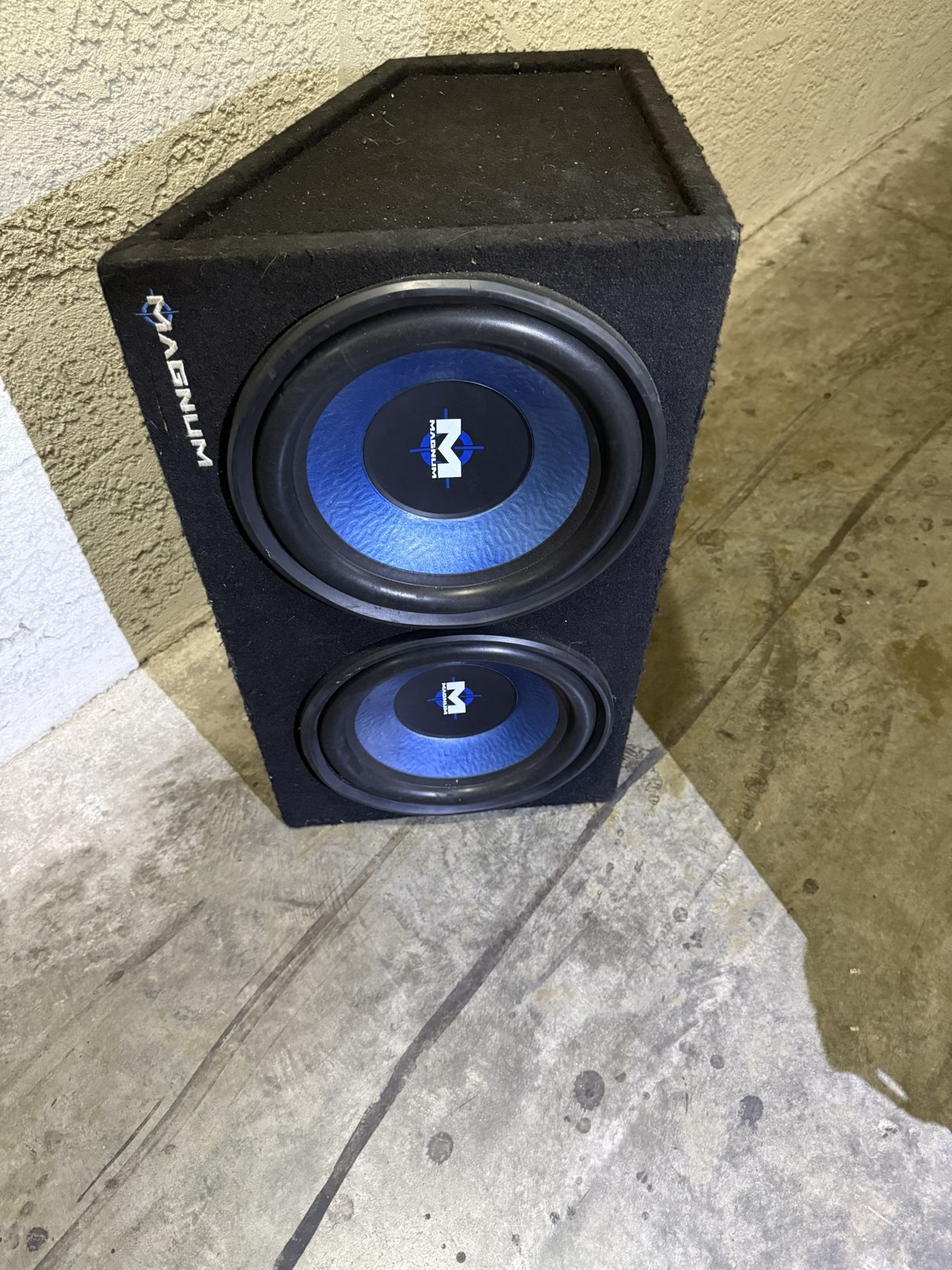 12 Inch Speakers