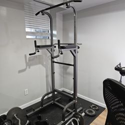 Stand Up Home Power Gym Pull Up Dips