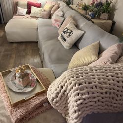 Sectional Couch With Couch Cover 