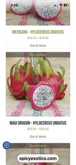 Dragon Fruit Cutting