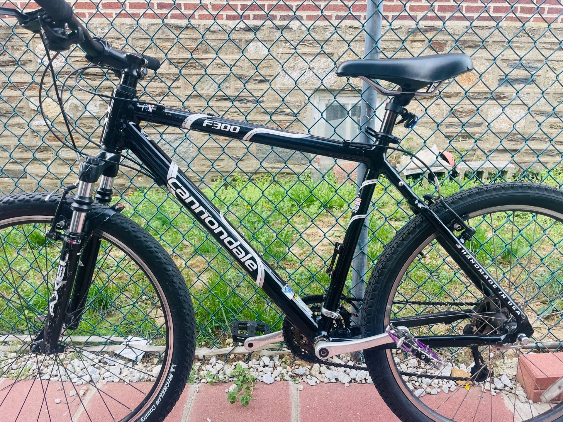Cannondale F300
