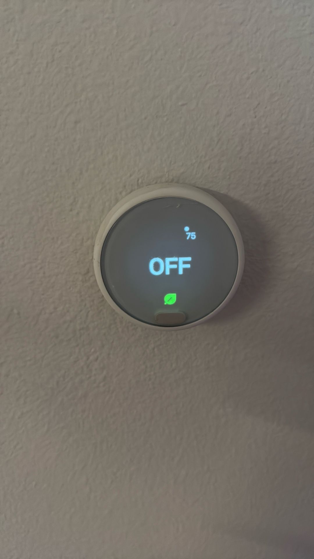 Nest Brand New