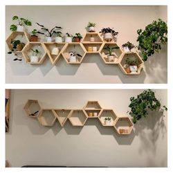 🌱Plant Shelf Spring Sale! 🌱 $20 Per Hex Or Triangle $140 As Pictured
