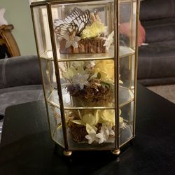 Vintage Butterfly Taxidermy Floral In Brass And Glass Curio Cabinet