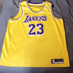 Lebron James Lakers Championship Jersey 