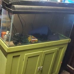 50 Gallon Fish Tank