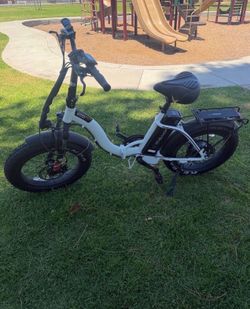 Eco Motion Mini  Pro E Bike