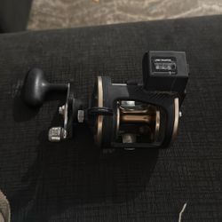 Fishing pole with reel 