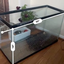 Fish Tank