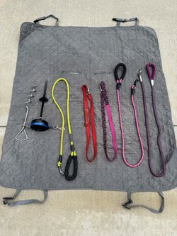 Dog Leash