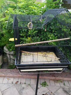 Bird Cage With Stand.