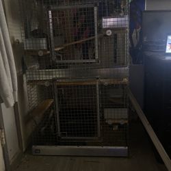 Chinchilla Cage