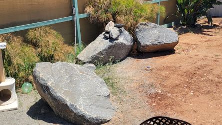 Free boulders
