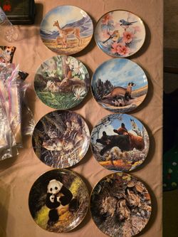 Fine China plates
