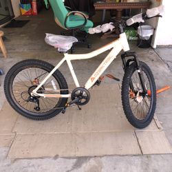 Bicycle