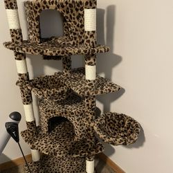 Free Cat Condo. SOLD SATURDAY