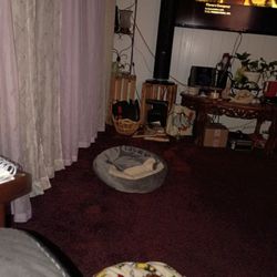 Small Dog Bed 