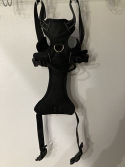 Pet Harness.
