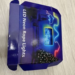 100ft LED Rope Light