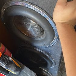 Nichi Audio 10 Inch Subwoofers Custom Box