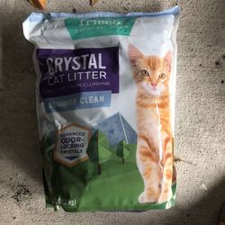Cat Litter