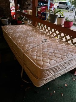 Free Adjustable Working Twin Bed