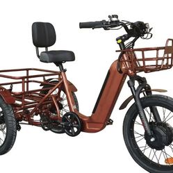 BREEZY Electric Trike 3 Wheel eBike TRIKE GT-48v 500 w Fat Tire Electric Tricycle