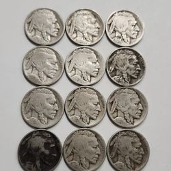 12 Antique Buffalo Nickels - All 1920's