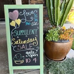 2-21-26 ❤️ Love Is In The Air…💌Succulent Saturday SALE!