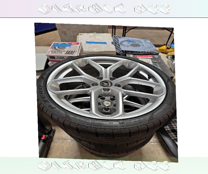 Tires for Every Car Type - Find Your Perfect Match Today whose one