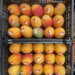 all fresh fruits and everyday